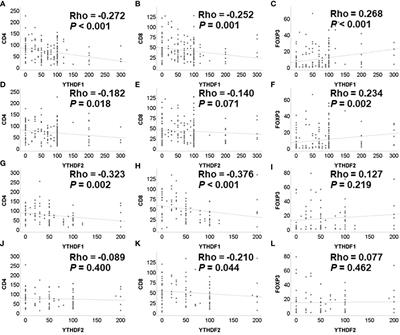 Prognostic and predictive value of YTHDF1 and YTHDF2 and their correlation with tumor-infiltrating immune cells in non-small cell carcinoma